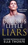 Devious Little Liars (Saint View High, #1)