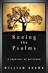 Seeing the Psalms: A Theology of Metaphor