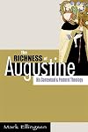 The Richness of Augustine: His Contextual and Pastoral Theology