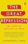 The Great Repression: The Story of Sedition in India (City Plans)