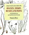 Colour Identification Guide to the Grasses, Sedges, Rushes and Ferns of the British Isles and North Western Europe