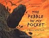 The Pebble in my Pocket: A History of Our Earth