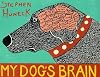My Dog's Brain