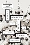 Many Subtle Channels: In Praise of Potential Literature