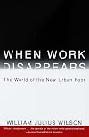When Work Disappears: The World of the New Urban Poor