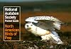 Pocket Guide to North American Birds of Prey