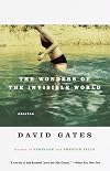 The Wonders of the Invisible World