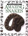 Amazing Snakes (Eyewitness Juniors)