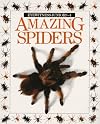 Amazing Spiders (Eyewitness Juniors)