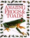 Amazing Frogs and Toads (Eyewitness Junior)