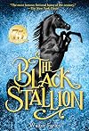 The Black Stallion