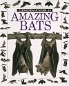 Amazing Bats