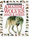 Amazing Wolves, Dogs & Foxes (Eyewitness Junior)