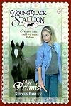 Young Black Stallion: The Promise