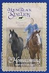 Young Black Stallion: The Homecoming