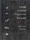 Large Animal Urogenital Surgery