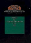 The New Interpreter's Bible, Vol. 9: Luke; John