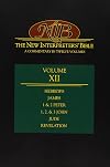 The New Interpreter's Bible, Vol. 12: Hebrews; James; 1 & 2 Peter; 1, 2, & 3 John; Jude; Revelation