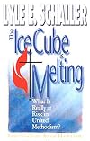 The ice cube is melting : what is really at risk in United Methodism?