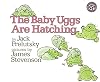 The Baby Uggs Are Hatching