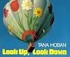 Look Up, Look Down