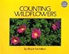 Counting Wildflowers