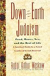 Down-to-Earth Judaism: Food, Money, Sex, and the Rest of Life