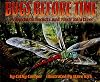 Bugs Before Time: Prehistoric Insects and Their Relatives