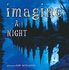 Imagine a Night