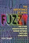 The Importance of Being Fuzzy