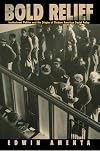 Bold Relief: Institutional Politics and the Origins of Modern American Social Policy