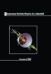 Elementary Particle Physics in a Nutshell