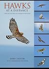 Hawks at a Distance: Identification of Migrant Raptors