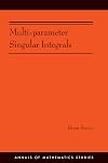 Multi-parameter singular integrals