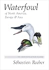 Waterfowl of North America, Europe, and Asia: An Identification Guide