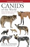 Canids of the World: Wolves, Wild Dogs, Foxes, Jackals, Coyotes, and Their Relatives (Princeton Field Guides)