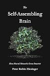 The Self-Assembling Brain: How Neural Networks Grow Smarter