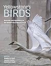 Yellowstone’s Birds: Diversity and Abundance in the World’s First National Park