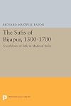 Sufis of Bijapur, 1300-1700 : social roles of Sufis in medieval India