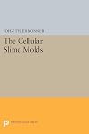 The cellular slime molds