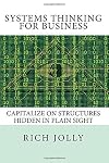 Systems Thinking for Business: Capitalize on Structures Hidden in Plain Sight