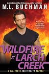 Wildfire at Larch Creek