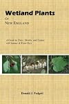 Wetland Plants of New England: A guide to trees, shrubs, and lianas