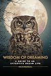 Wisdom of Dreaming: A Guide to an Effective Dream Life