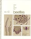 How to Know the Beetles