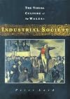 Industrial Society (The Visual Culture of Wales)