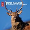 British Mammals: An Audio Introduction to the Mammals of Britain (British Library)