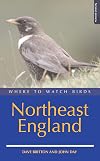 Where to Watch Birds in Northeast England