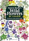Wild Flowers by Colour