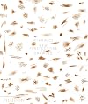 Vitamin D2: New Perspectives in Drawing